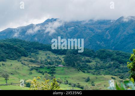 PAESAGGIO BOSCOSO DI WATERLAND IN COLOMBIA CON COLTURE NELLA PARTE INFERIORE DELLA MONTAGNA E FITTA NEBBIA CHE COPRE LA PARTE PIÙ ALTA DELLA FORESTA DI QUERCE Foto Stock