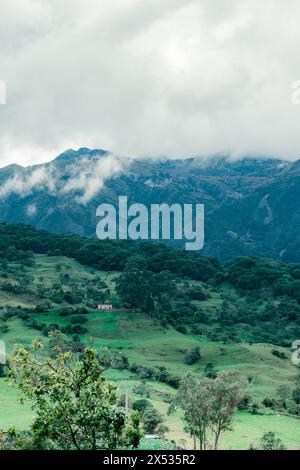 PAESAGGIO BOSCOSO DI WATERLAND IN COLOMBIA CON COLTURE NELLA PARTE INFERIORE DELLA MONTAGNA E FITTA NEBBIA CHE COPRE LA PARTE PIÙ ALTA DELLA FORESTA DI QUERCE Foto Stock