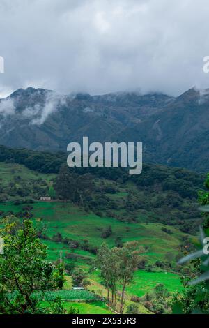 PAESAGGIO BOSCOSO DI WATERLAND IN COLOMBIA CON COLTURE NELLA PARTE INFERIORE DELLA MONTAGNA E FITTA NEBBIA CHE COPRE LA PARTE PIÙ ALTA DELLA FORESTA DI QUERCE Foto Stock