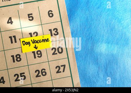 Programma di vaccinazione per cuccioli o cani. Nota di promemoria scritta sul calendario. Foto Stock