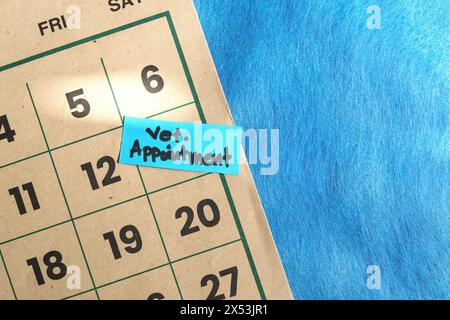 Programma di routine per cani o animali domestici per il controllo veterinario o per l'appuntamento. Nota di promemoria scritta sul calendario. Foto Stock