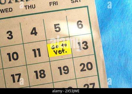 Programma di routine per cani o animali domestici per il controllo veterinario o per l'appuntamento. Nota di promemoria scritta sul calendario. Foto Stock