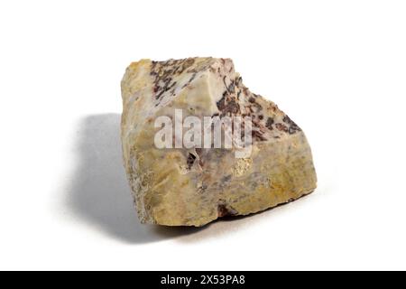 Pelitic Schist Rock, isolata su sfondo bianco da vicino Foto Stock