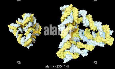 Il tetraedro del DNA è progettato per essere meccanicamente robusto; è costituito da triangoli rigidi di eliche di DNA unite covalentemente ai vertici Foto Stock