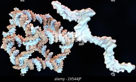 Rendering 3d della costruzione a partire dal DNA di un complesso molecolare covalentemente chiuso simile a un cubo Foto Stock