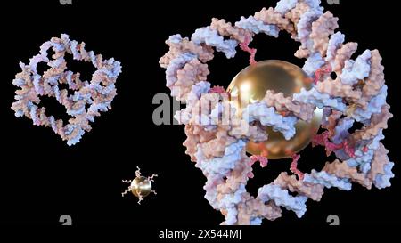 Rendering 3d di nanoparticelle d'oro coniugate all'interno della costruzione dal DNA di un complesso molecolare covalentemente chiuso simile a un cubo Foto Stock