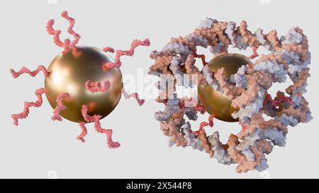 Rendering 3d di nanoparticelle d'oro coniugate all'interno della costruzione dal DNA di un complesso molecolare covalentemente chiuso simile a un cubo Foto Stock