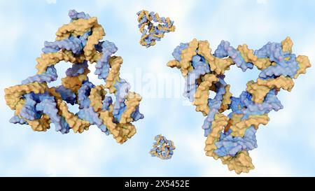 Il tetraedro del DNA è progettato per essere meccanicamente robusto; è costituito da triangoli rigidi di eliche di DNA unite covalentemente ai vertici Foto Stock