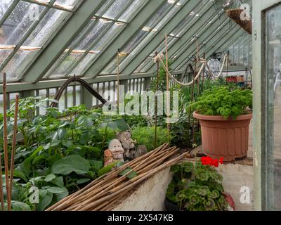 Vista interna di un lungo e alto-magra a serra in il giardino murato, Delapre Abbey, Northampton, Regno Unito Foto Stock