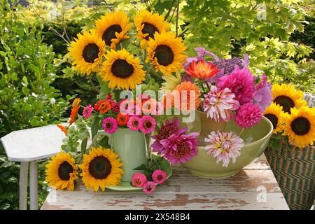 Botanica, girasoli, zinnie e dahlia in brocche verdi su un tavolo outdooors, DIRITTI AGGIUNTIVI-CLEARANCE-INFO-NON-DISPONIBILE Foto Stock