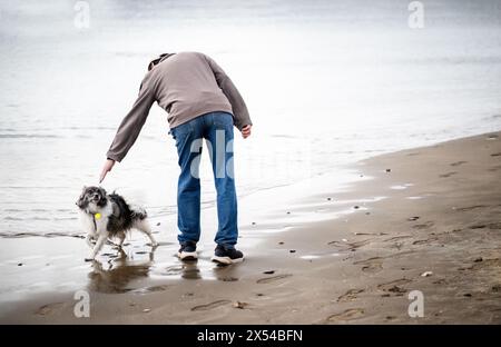 L'uomo e il suo cane camminano sulla spiaggia. Auckland. Foto Stock