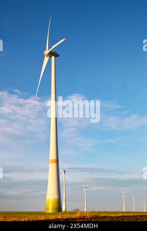 Turbine eoliche sull'altopiano di Paderborn, Germania, Renania settentrionale-Vestfalia, Paderborner Hochflaeche, Bad Wuennenberg Foto Stock