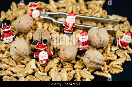 noce (Juglans regia), noci con noci noci e pantalone Foto Stock