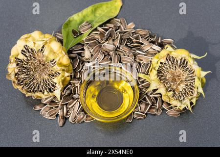 Girasole (Helianthus annuus), teste di fiori con semi di girasole maturi e ciotola di vetro con olio di girasole Foto Stock