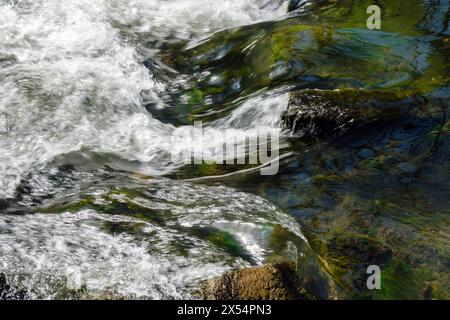 L'acqua scorre sulle rocce, fiume dove, Wolfscote Dale, Peak District National Park, Derbyshire Foto Stock