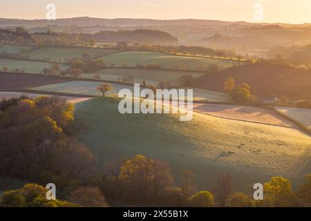 La luce del sole mattutino sulla campagna ondulata in primavera, Devon, Inghilterra. Primavera (aprile) 2024. Foto Stock