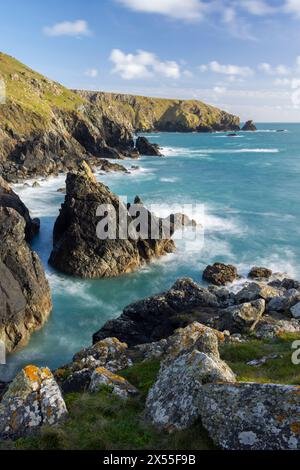 Spettacolare paesaggio costiero a Ogo-Dour Cove sulla penisola di Lizard, Cornovaglia, Inghilterra. Primavera (aprile) 2024. Foto Stock