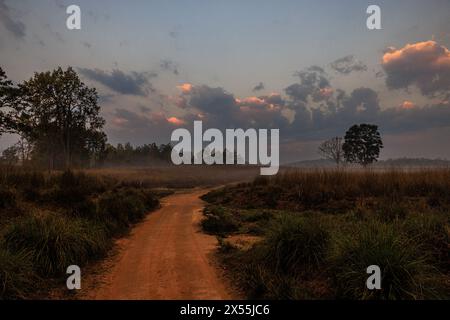 una strada di sabbia rossa conduce nel paesaggio della riserva delle tigri di kanha all'alba con bassa nebbia sul prato e nuvole illuminate dal sole Foto Stock
