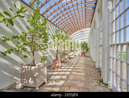 Orangerie a Burton Constable Hall, Yorkshire Foto Stock