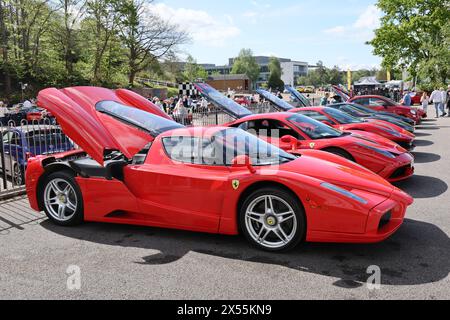 2004 Ferrari Enzo nella foto all'Italian Car Day al Brooklands Museum, Weybridge, Regno Unito il 4/5/24 Foto Stock