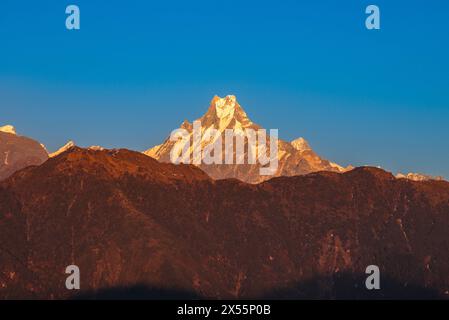 Machapuchare, o montagna a coda di pesce, una montagna nel massiccio dell'Annapurna in nepal Foto Stock