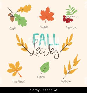 Set di colorate foglie autunnali e scritte. Elementi isolati. Semplice stile cartoni animati. illustrazione vettoriale. Il giorno del raccolto e il Ringraziamento. Illustrazione Vettoriale