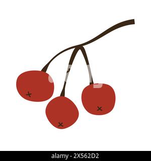 Mazzo di bacche di rowan rosse isolate su sfondo bianco. Illustrazione vettoriale in stile piatto. Ramo di Rowan senza foglie. Illustrazione Vettoriale