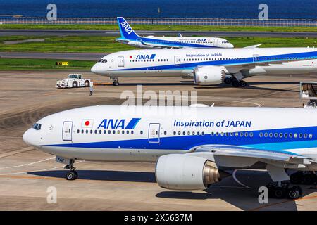 ANA All Nippon Airways Flugzeuge Flughafen Tokyo Haneda in Giappone Tokio, Giappone - 25. Settembre 2023: Flugzeuge der ANA All Nippon Airways auf dem Flughafen Tokyo Haneda HND in Giappone. *** ANA All Nippon Airways Airways Tokyo Haneda Airport in Giappone Tokyo, Giappone 25 settembre 2023 ANA All Nippon Airways Airways Airways Aircraft presso Tokyo Haneda Airport HND in Giappone Foto Stock