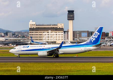 ANA All Nippon Airways Boeing 737-800 Flugzeug Flughafen Itami a Osaka, Giappone Osaka, Giappone - 1. Ottobre 2023: Ein Boeing 737-800 Flugzeug der ANA All Nippon Airways mit dem Kennzeichen JA74AN auf dem Flughafen Itami Airport ITM di Osaka, Giappone. *** ANA All Nippon Airways Boeing 737 800 Airways Aeroporto Itami a Osaka, Giappone Osaka, Giappone 1 ottobre 2023 un aeromobile ANA All Nippon Airways Boeing 737 800 con numero di registrazione JA74AN presso Itami Airport ITM a Osaka, Giappone Foto Stock