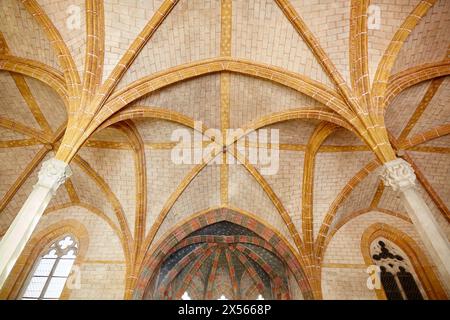 Couvent des Giacobini. Tolosa. Haute Garonne. La Francia. Foto Stock