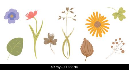 Mix di erbe e piante raccolta vettoriale. Graziosa vegetazione rustica per matrimoni. Foglie e fiori secchi. Set piatto. Tutti gli elementi sono isolati. Illustrazione Vettoriale