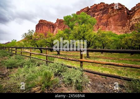 Le meraviglie panoramiche del Capitol Reef National Park nello Utah, Stati Uniti. È uno dei cinque parchi nazionali dello stato. Foto Stock