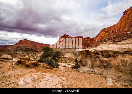 Le meraviglie panoramiche del Capitol Reef National Park nello Utah, Stati Uniti. È uno dei cinque parchi nazionali dello stato. Foto Stock