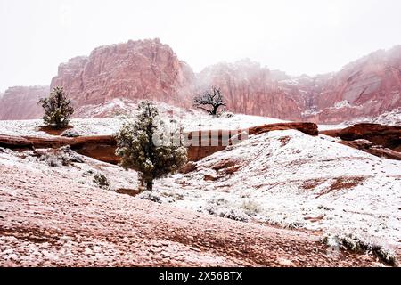 Le meraviglie panoramiche del Capitol Reef National Park nello Utah, Stati Uniti. È uno dei cinque parchi nazionali dello stato. Foto Stock