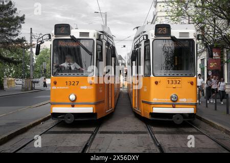 Due tradizionali tram gialli si incontrano a Budapest, Ungheria. Foto Stock