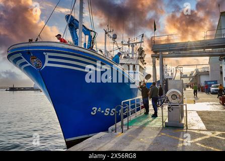 Porto di pesca, Hondarribia, Gipuzkoa, Paesi Baschi, Spagna, Europa Foto Stock