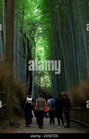 Vita quotidiana in Giappone Un sentiero nella foresta di bambù ad Arashiyama, Kyoto, visitato da turisti stranieri Foto Stock