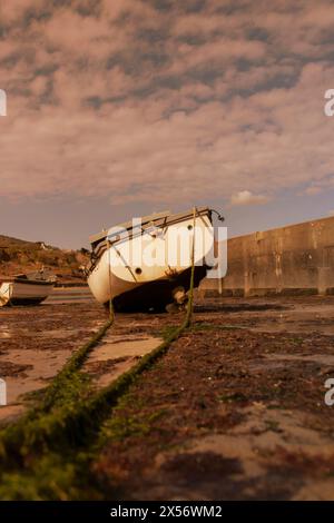 Barche da pesca ormeggiate, con la bassa marea, a Nefyn Port, Gwynedd, Galles del Nord. Preso dalla luce solare serale. Foto Stock