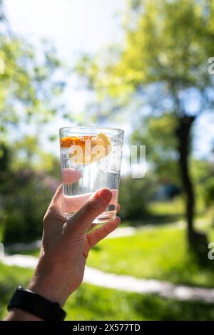 Una mano solleva un bicchiere rinfrescante di acqua frizzante con ghiaccio e fette di limone e arancia. Sullo sfondo si può vedere un bellissimo giardino primaverile Foto Stock