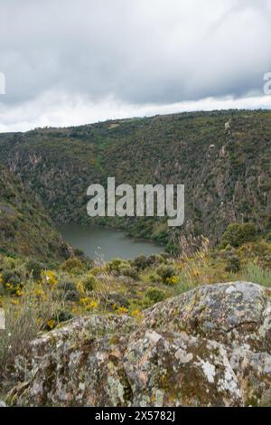 Arribes del Duero dal punto panoramico di Asomadero los Regatos. Fermoselle, Zamora, Spagna Foto Stock