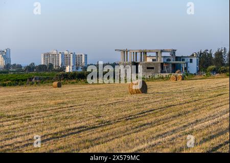 Balle di paglia su terreni agricoli con cielo nuvoloso blu 2 Foto Stock