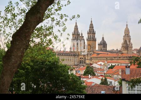 Cattedrale dal parco Alameda, Santiago de Compostela, provincia di CoruÒa, Galizia, Spagna. Foto Stock