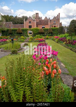 Chenies Manor Sunken Garden all'ora dei tulipani. Foto Stock