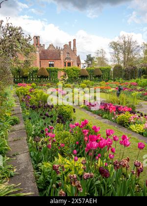Chenies Manor Sunken Garden all'ora dei tulipani. Foto Stock