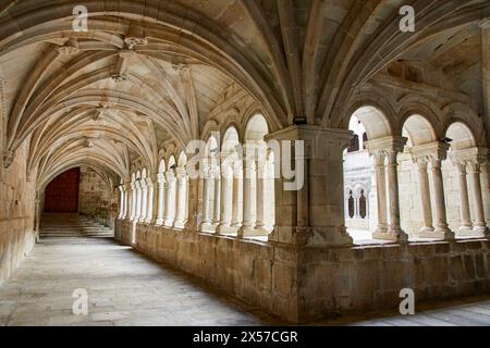 Monasterio de San Esteban, Mosteiro de Santo Estevo de Ribas de Sil, Ribeira Sacra, Ourense, Galizia, Spagna Foto Stock