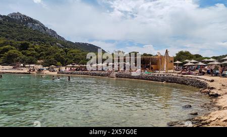 Tranquilla isola di Moni, Egina, Grecia. Un luogo dove prendere il sole con cervi e pavoni. Foto Stock