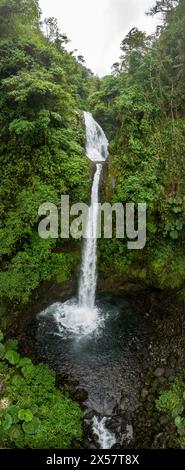 Vista aerea, cascata nella foresta pluviale, Catarata de la Paz, Parco naturale dei Giardini delle Cascate la Paz, Provincia di Alajuela, Costa Rica Foto Stock