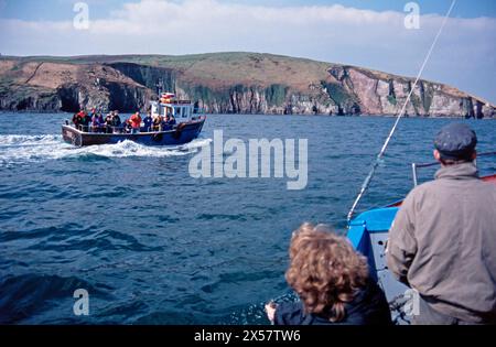 Tour dei delfini, persone, tour in barca, Dingle, Penisola di Dingle, Repubblica d'Irlanda, aprile 1996, vintage, retro, Old, storico Foto Stock