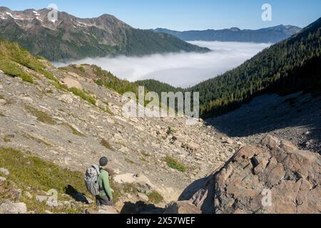 Man fa un'escursione lungo il Rocky Trail verso Cloud Inversion nell'Olympic National Park Foto Stock