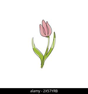 Un disegno a linea singola di tulipano fresco di bellezza per il logo del giardino. Decorazione Olanda nazionalità fiore concetto casa decorazione parete poster stampa art. Moderno Illustrazione Vettoriale